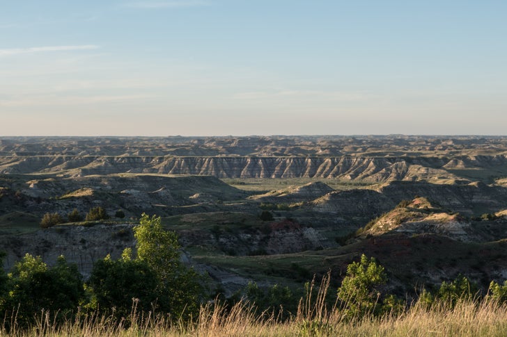 Wichelns__DSC2292