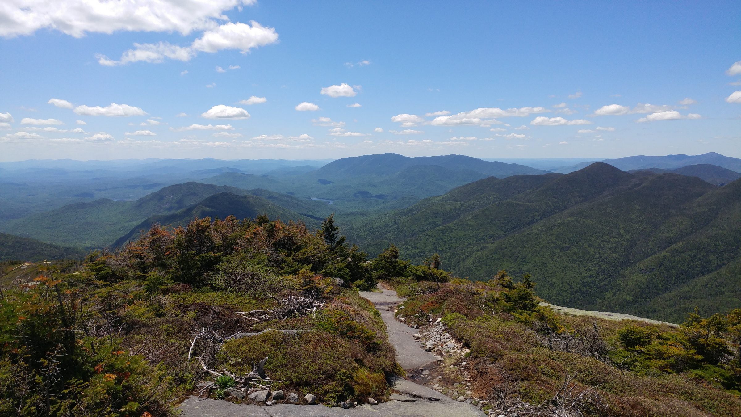 West Ramp of Mt. Colden, Adirondacks, NY