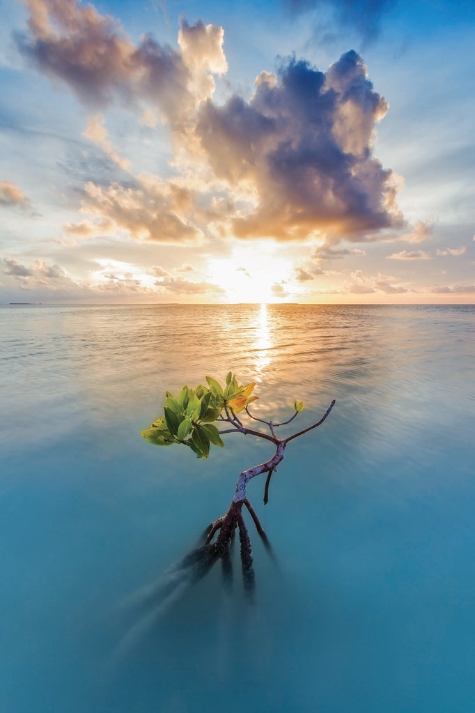 Florida Bay