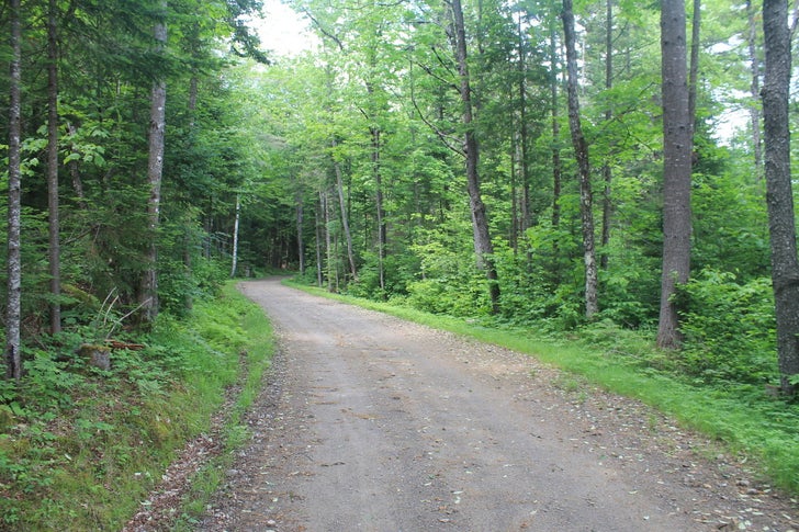 newcomb
