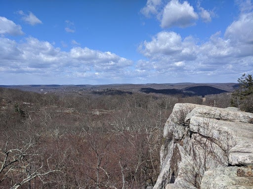 harriman4
