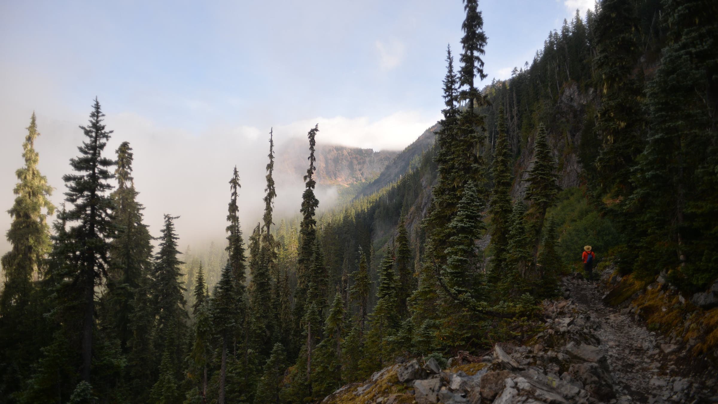 hiker on the pacific crest trail