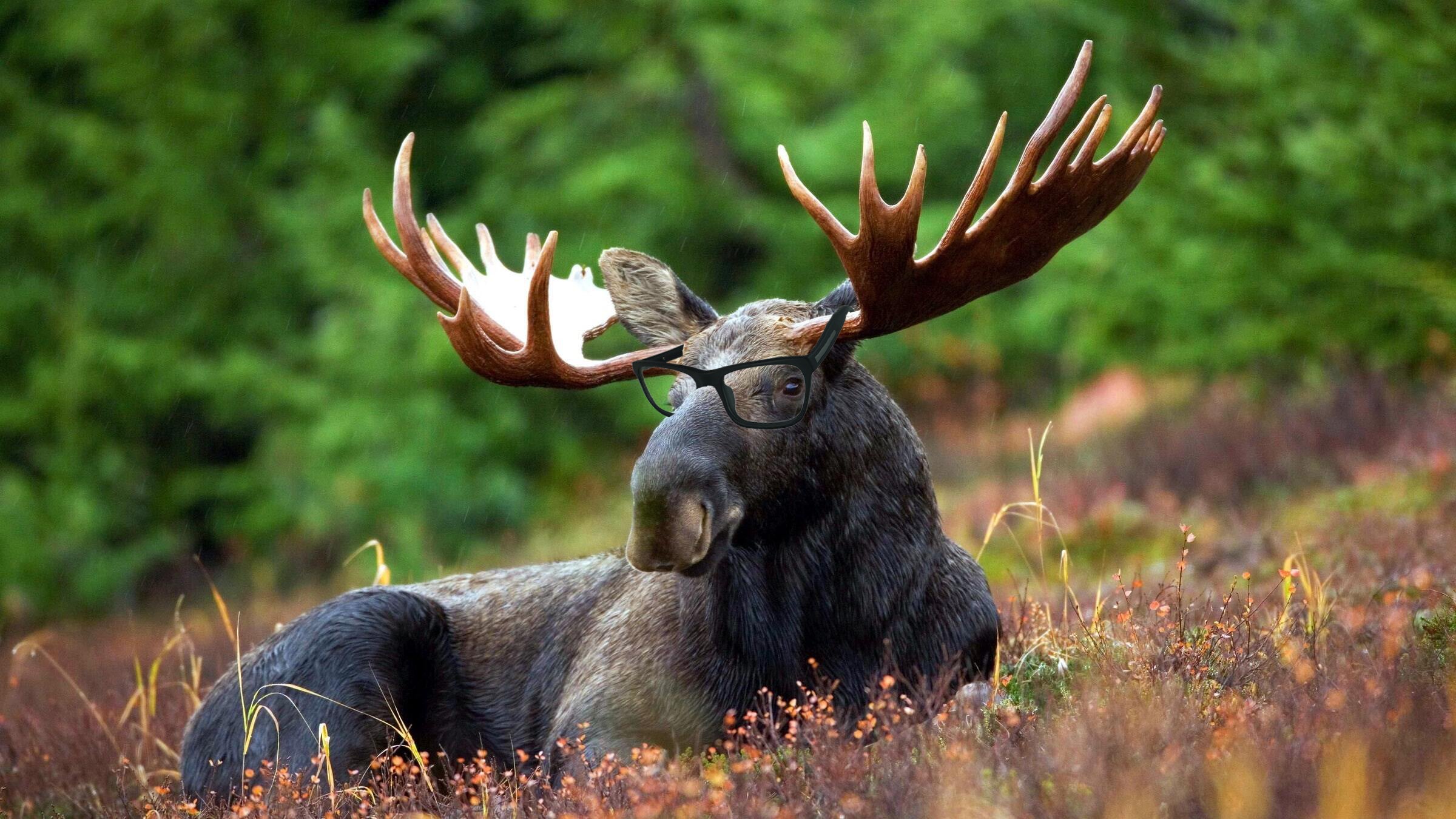 26 Amazing Nature Facts to Impress Your Hiking Partners