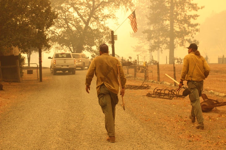 Wildfire