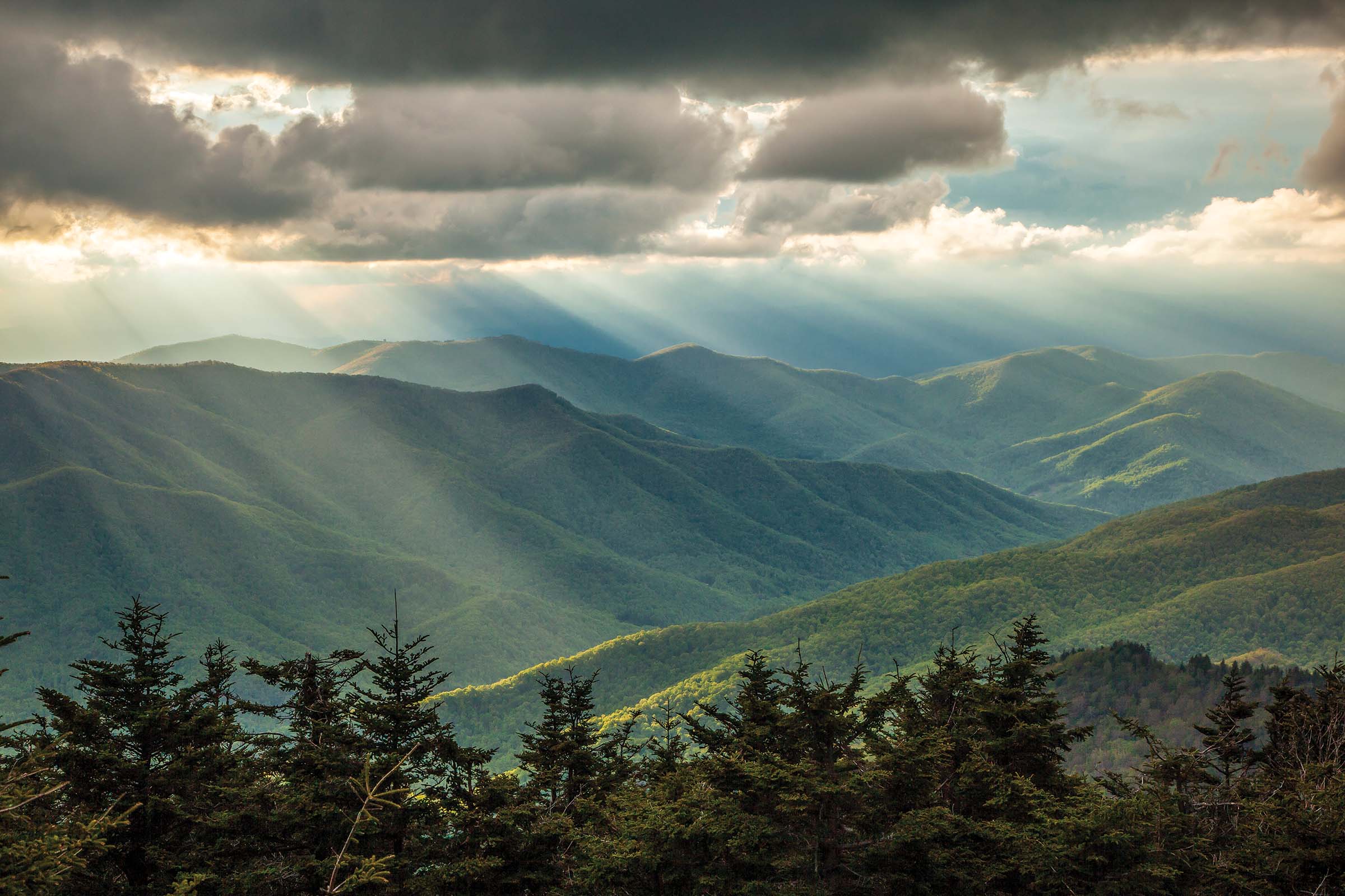 Mt. Mitchell