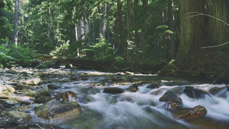 Mountain Stream