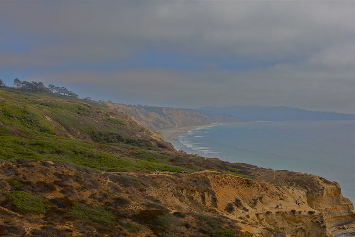 Best Hikes in San Diego Torrey Pines