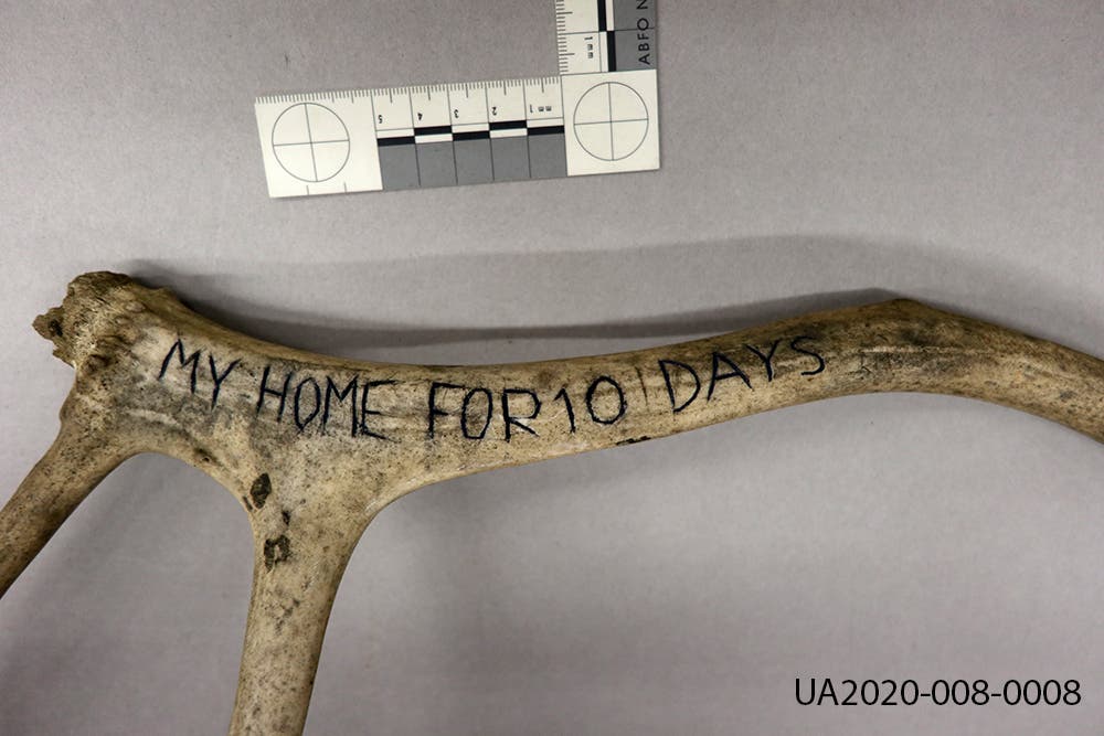 antler with "my home for 10 days" carved into it