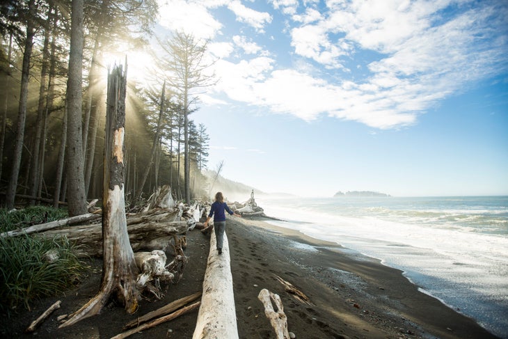 best backpacking trips olympic national park