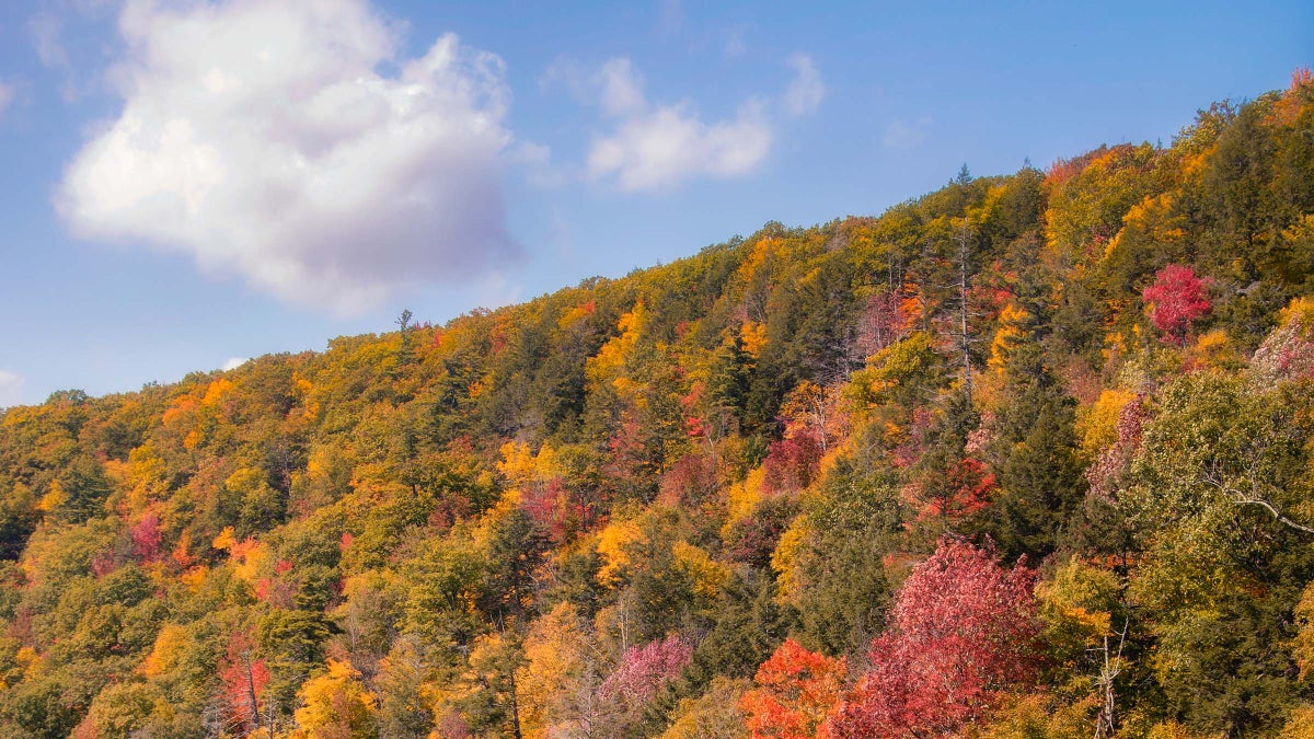 See the Country's Finest Fall Colors on this Catskills Overnight