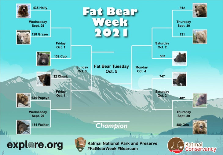 Fat Bear Week Bracket 2025 Printable - Tammy I. Brooker