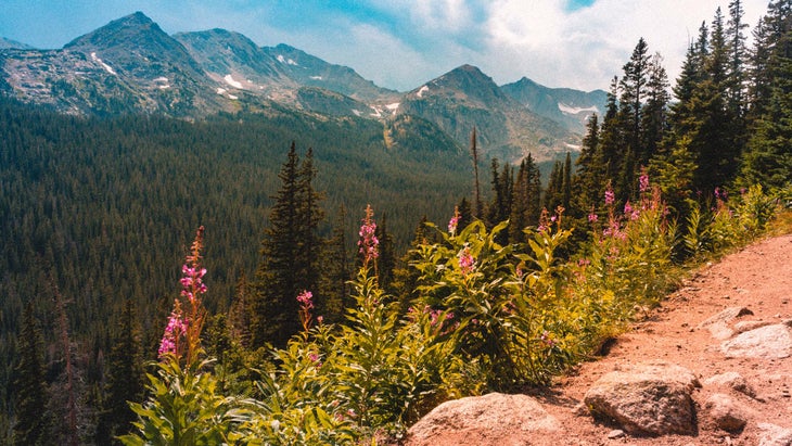 mountain view