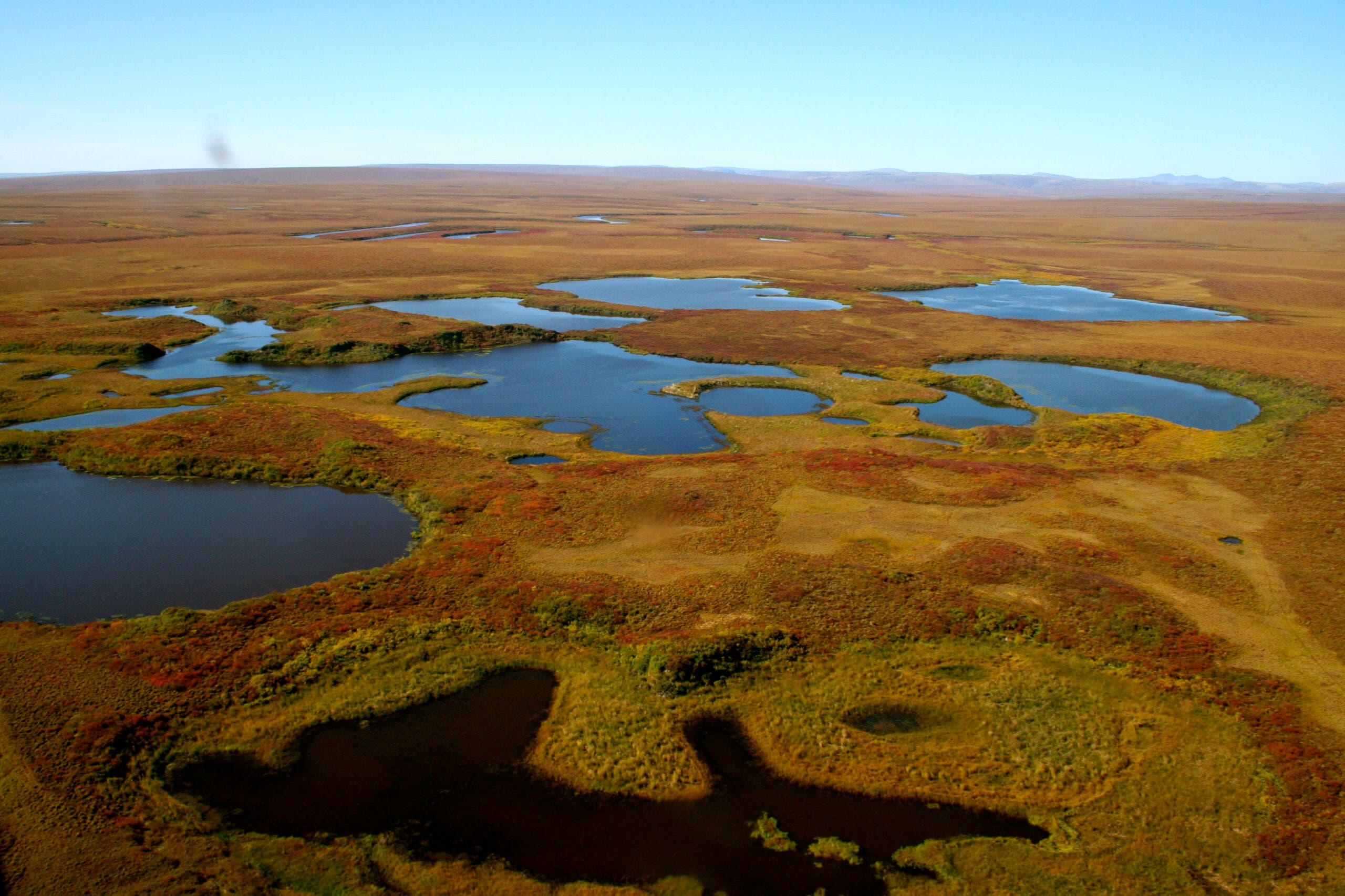aerial view of several irregularly-shaped blue lakes among red, gold, brown and green tundra