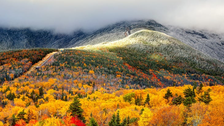 fall foliage on a hill of deciduous trees, with a snowy slope running into the background
