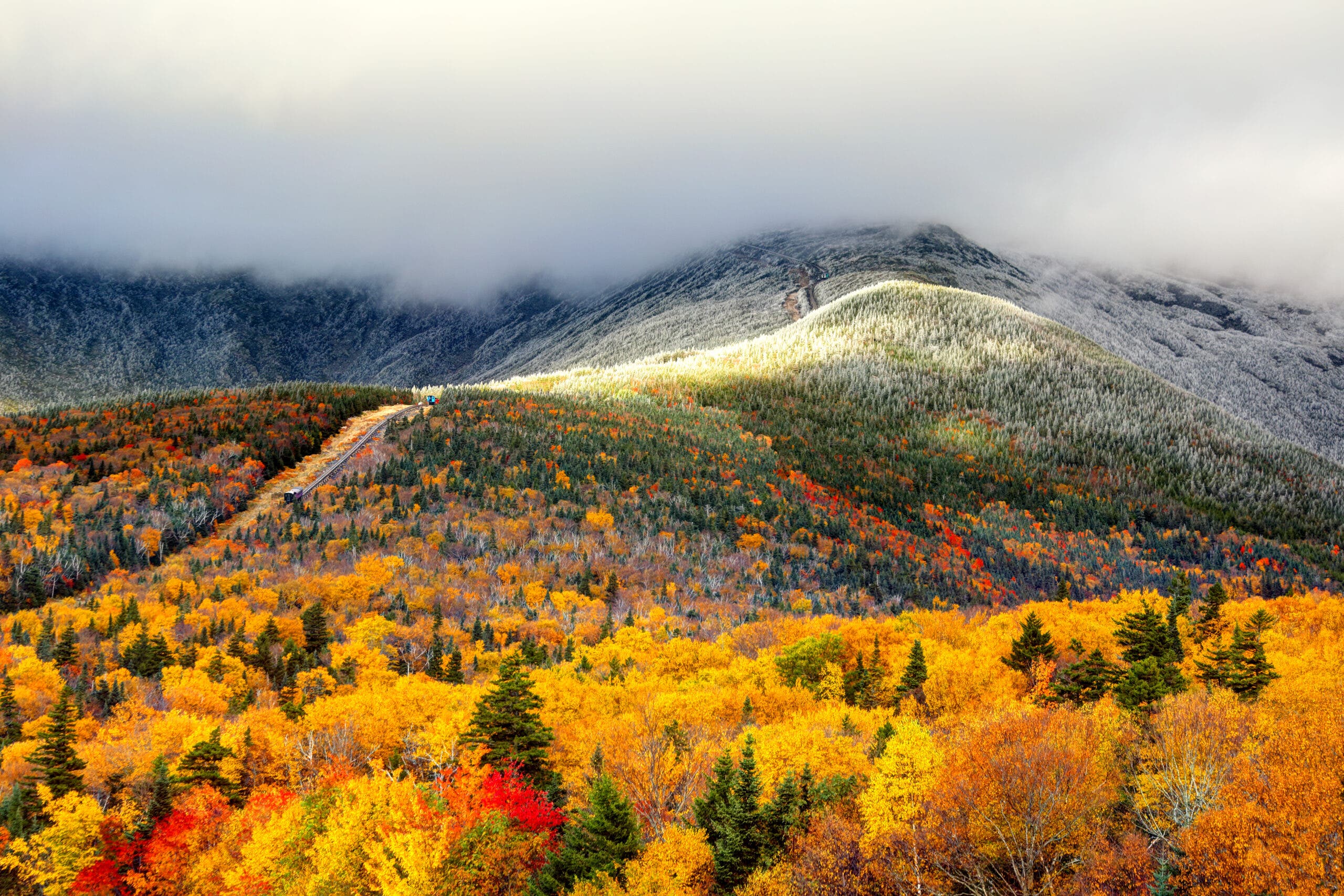 fall foliage on a hill of deciduous trees, with a snowy slope running into the background