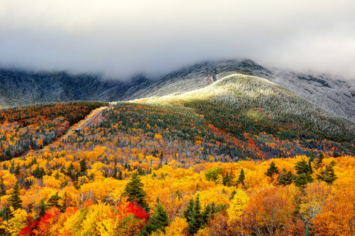 fall foliage on a hill of deciduous trees, with a snowy slope running into the background