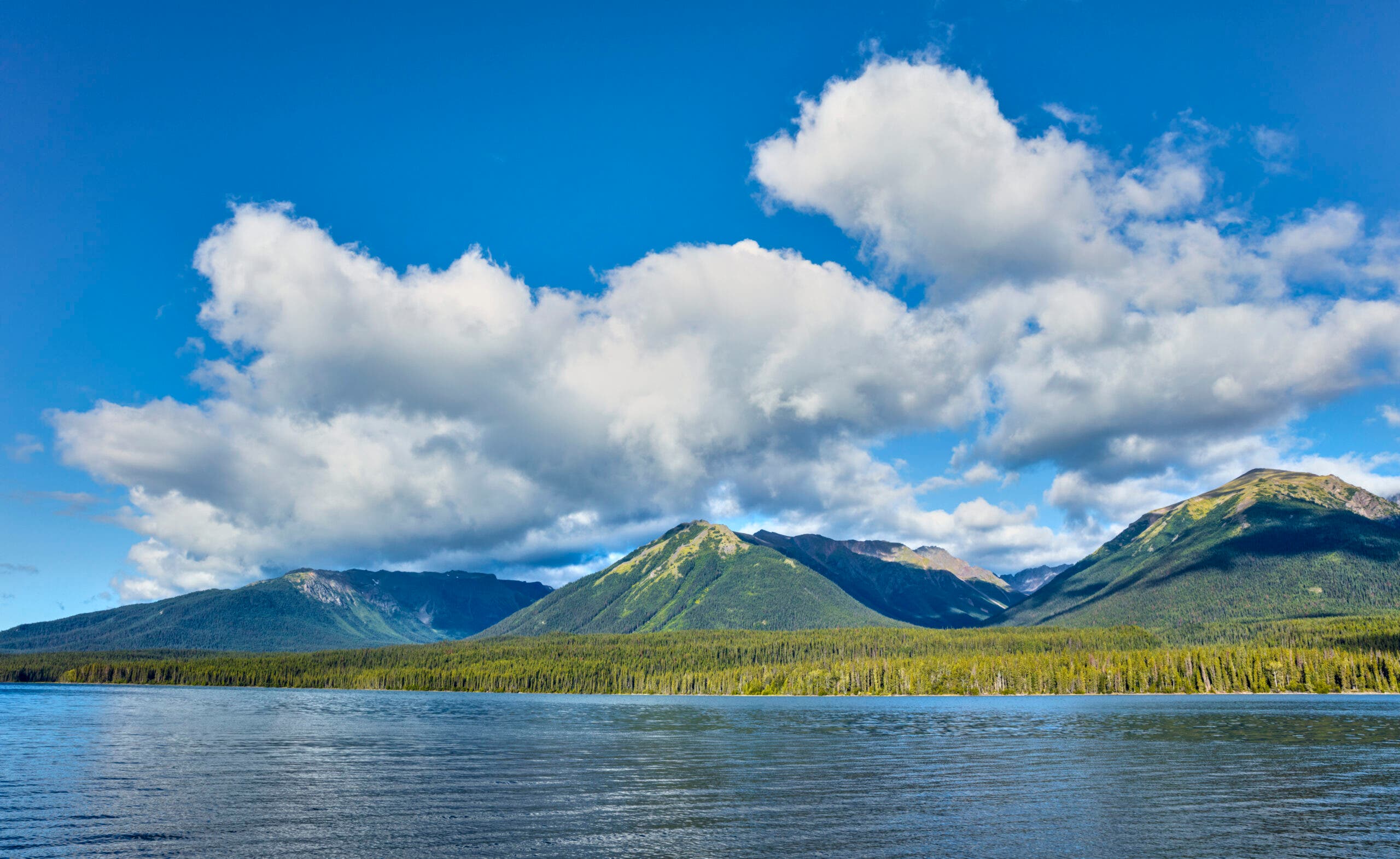 a lake with a forested shore and gently sloping mountains in the background