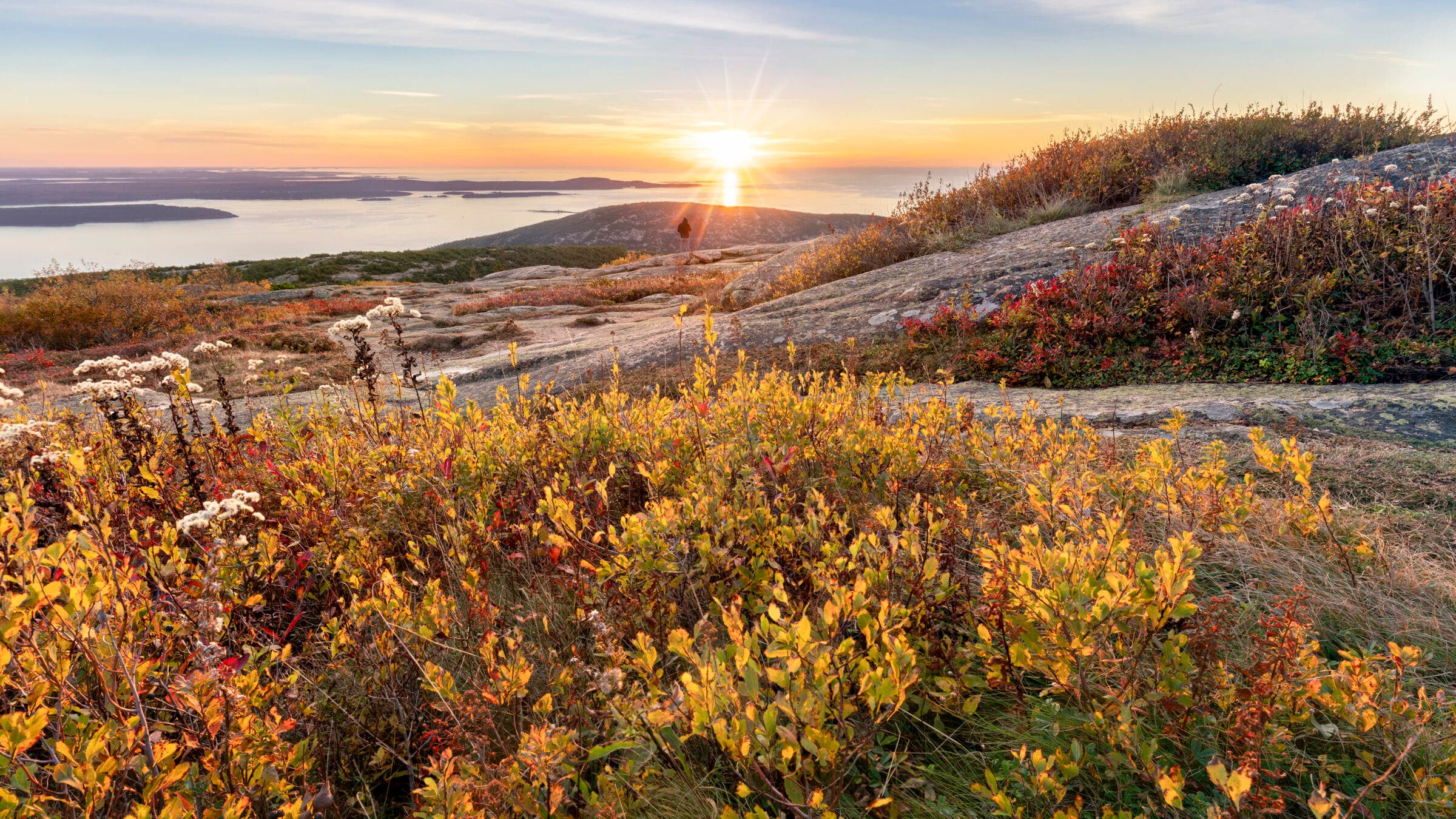 red and yellow bushes between rocks on a summit with the sun rising over the ocean in the background
