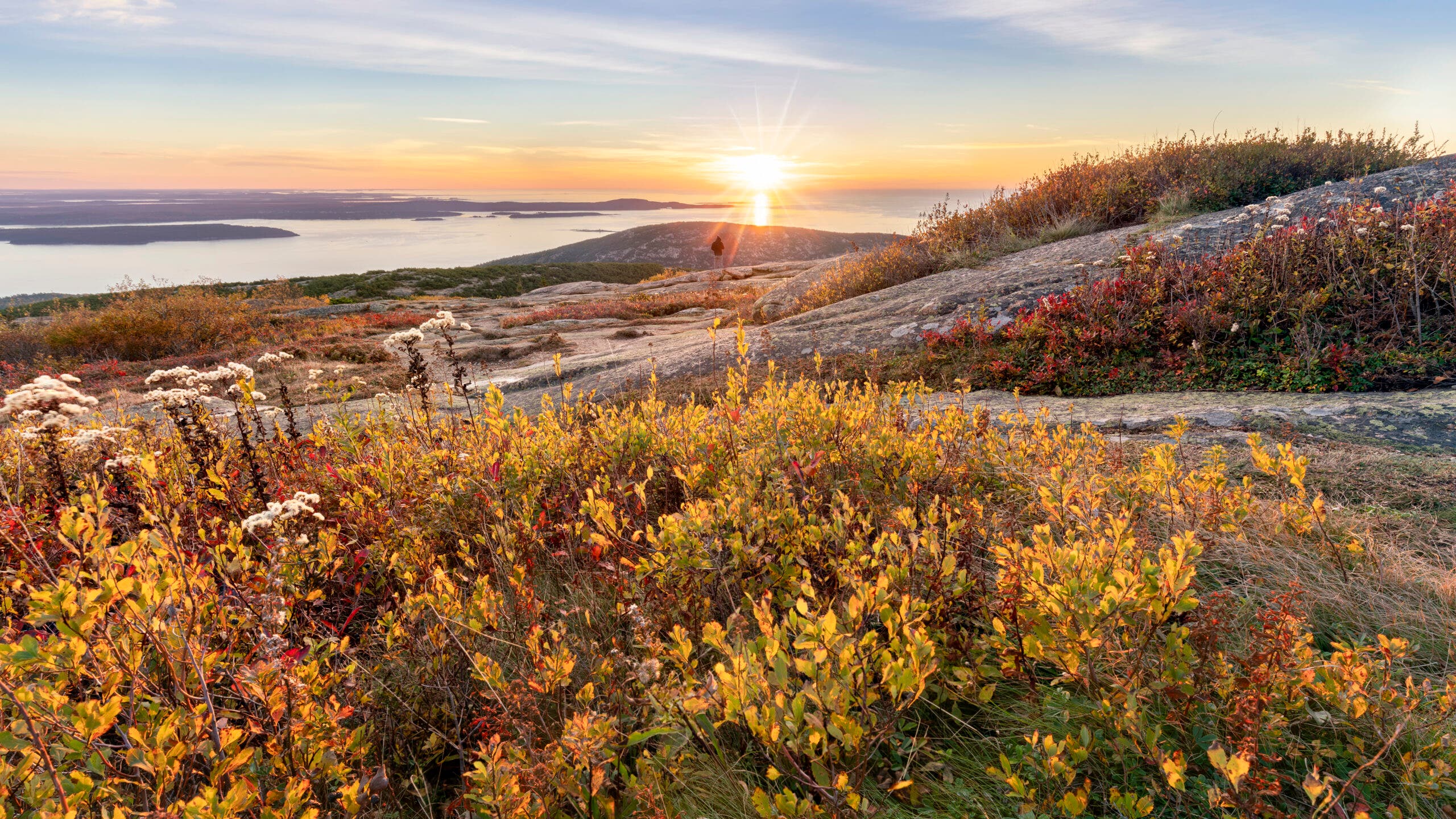 red and yellow bushes between rocks on a summit with the sun rising over the ocean in the background