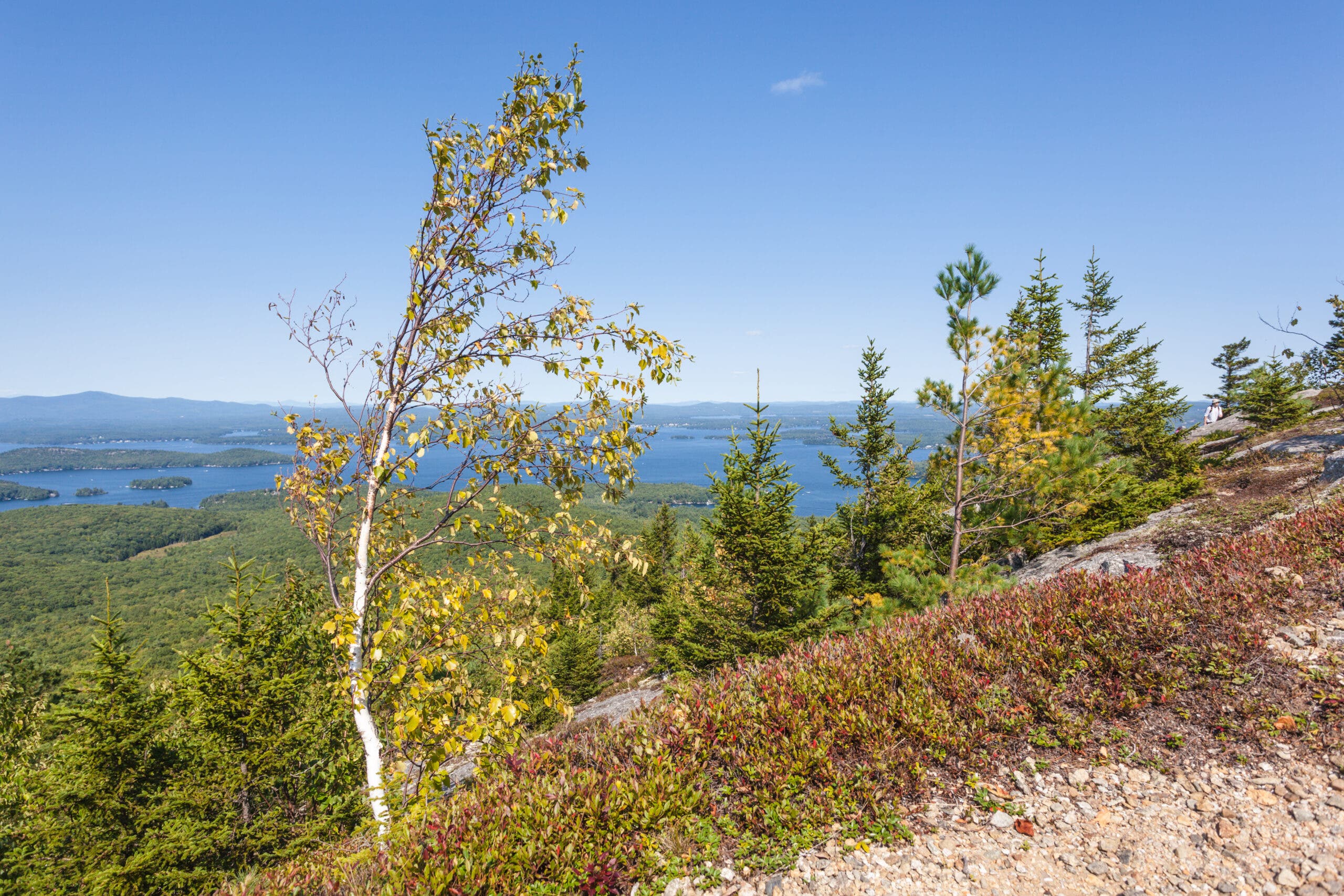 fall colors on Mt Major