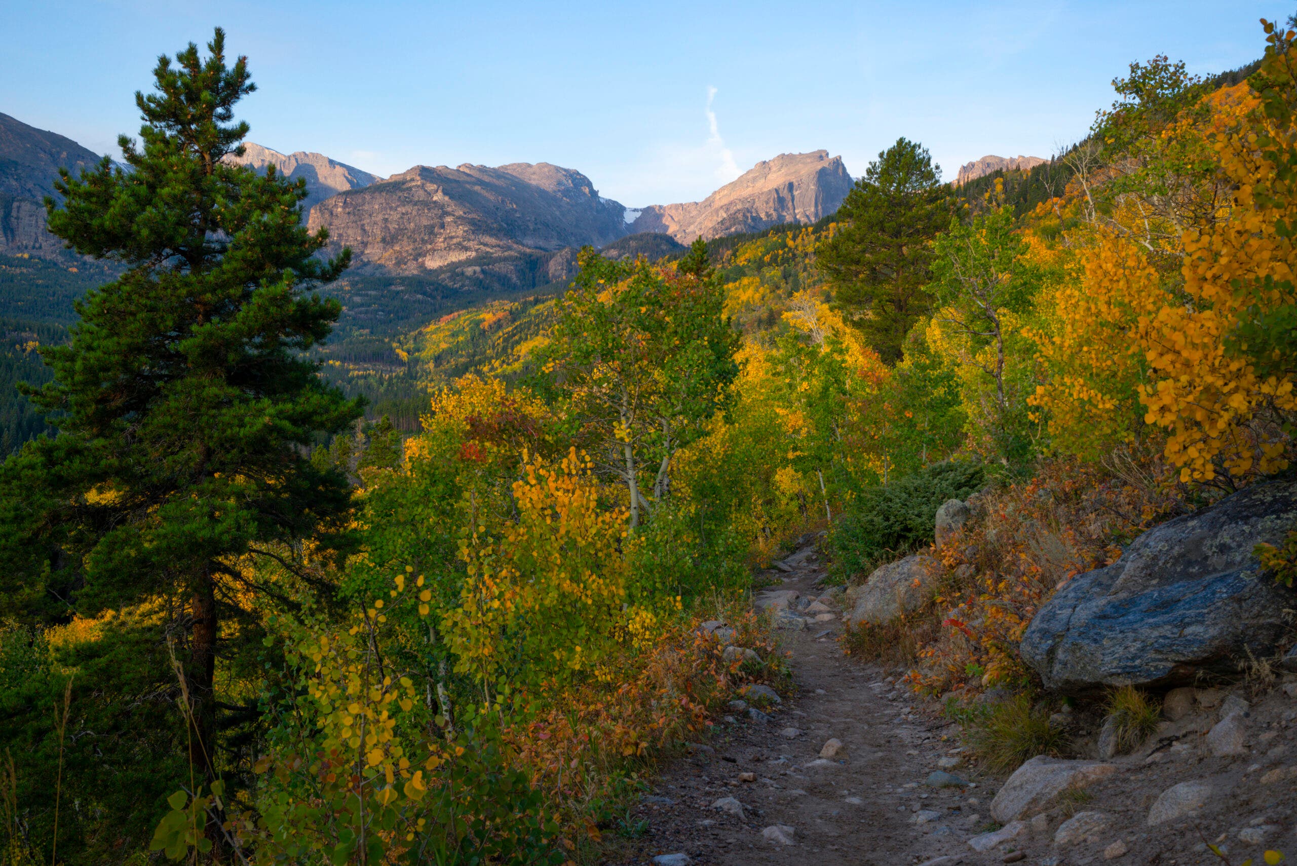 a trail between red-orange bushes and golden aspen trees with mountains in the distance, RMNP