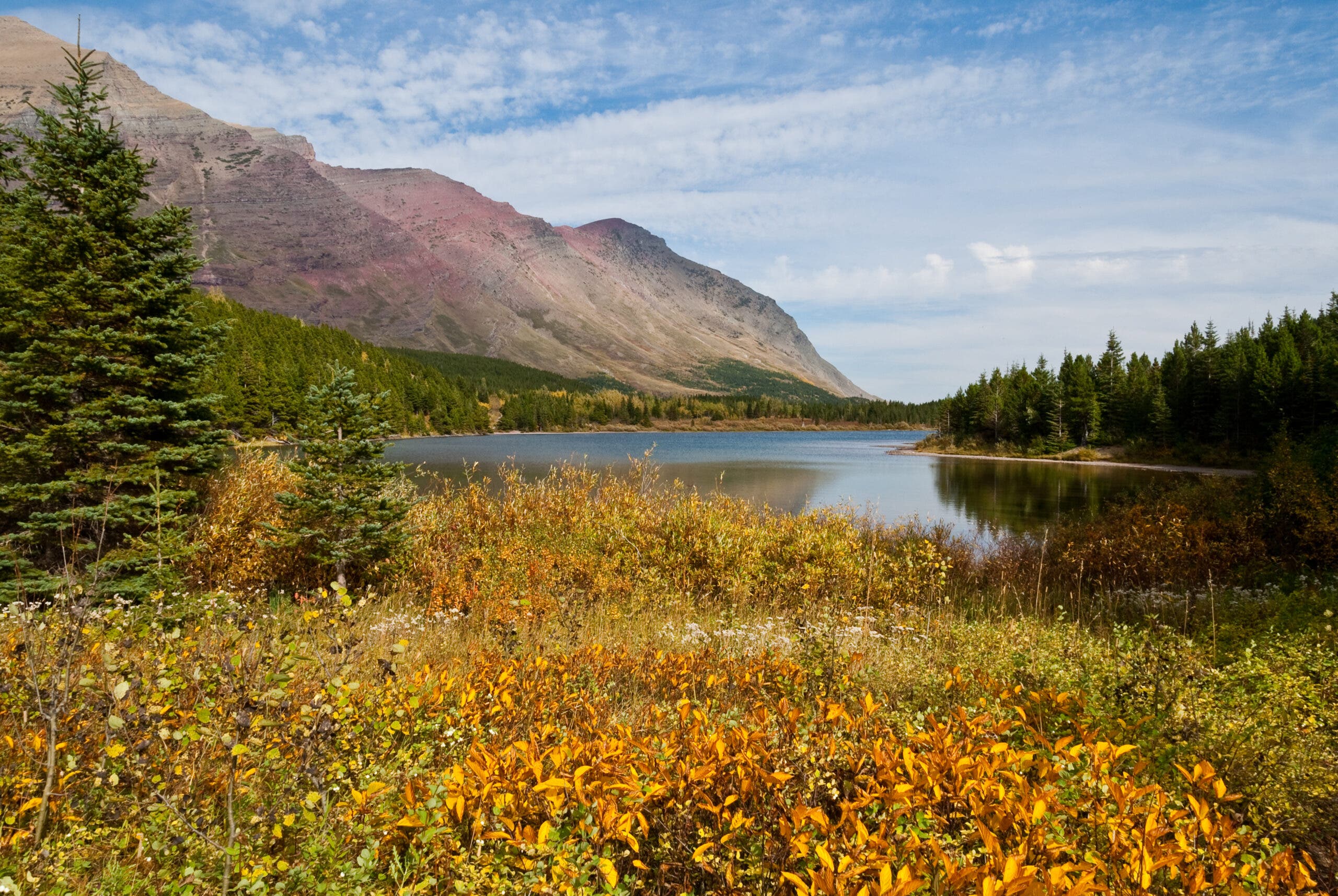 yellow and orange huckleberry bushes in front of redrock lake, with a mountain rising behind