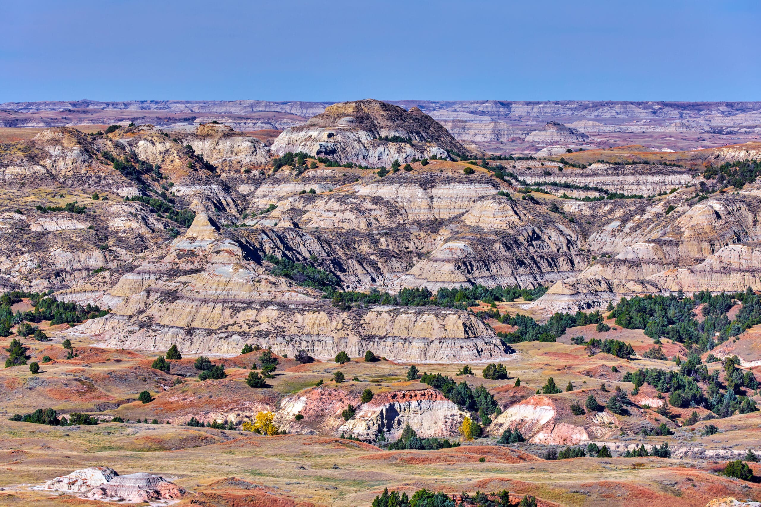 fall colors in the badlands
