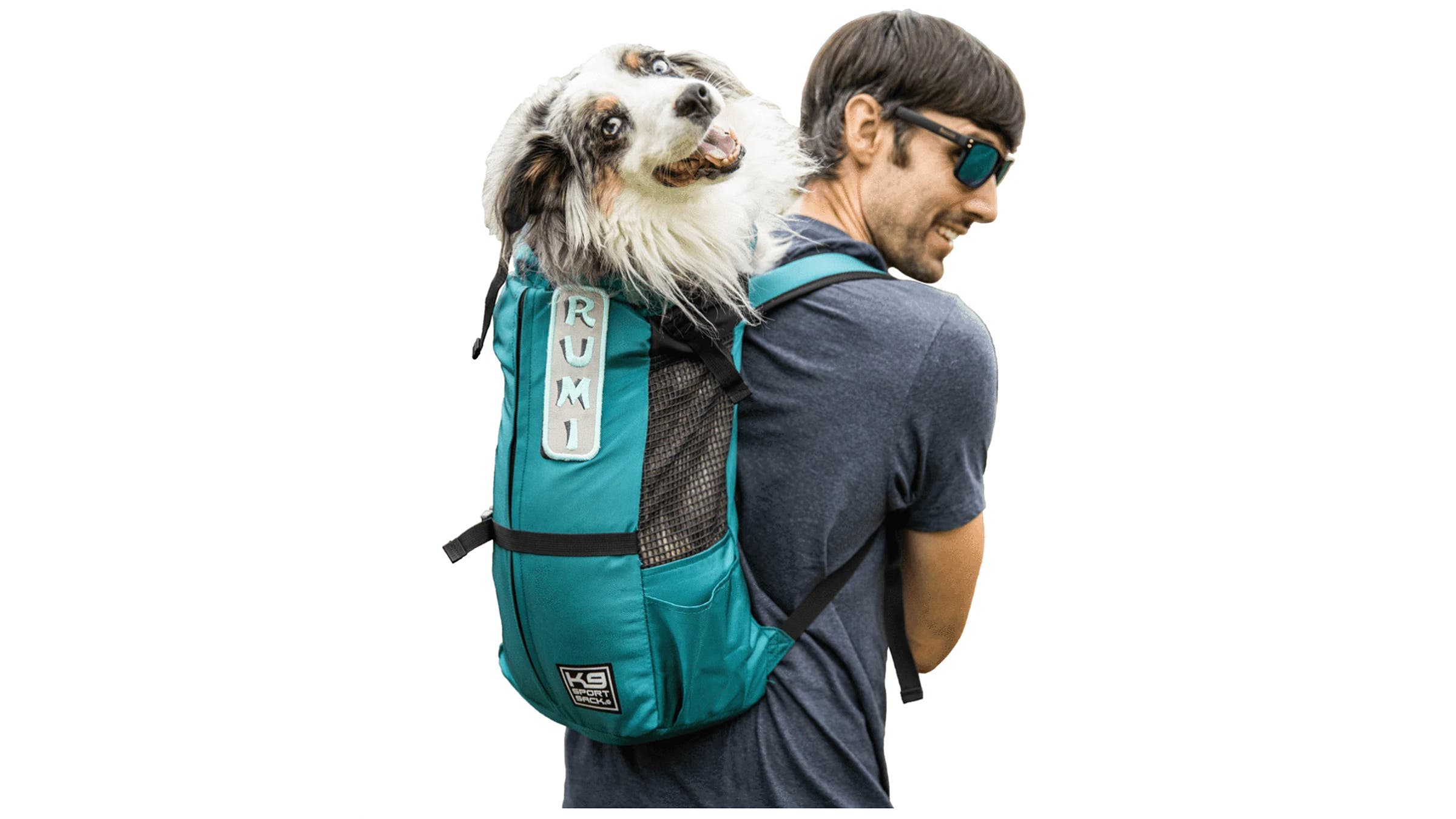 K9 Sport Sack Trainer