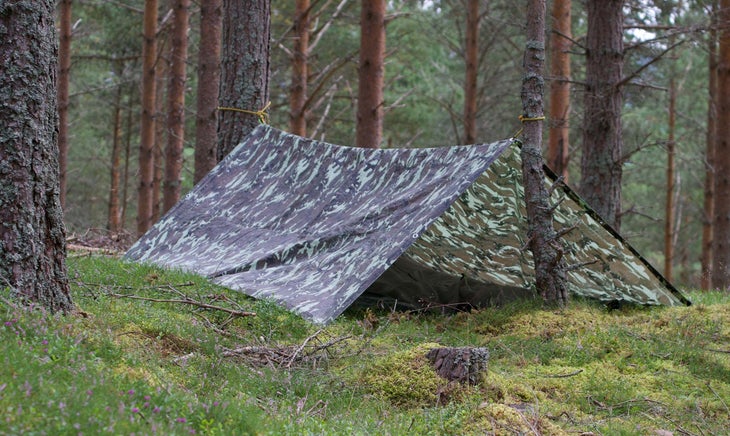 tarp