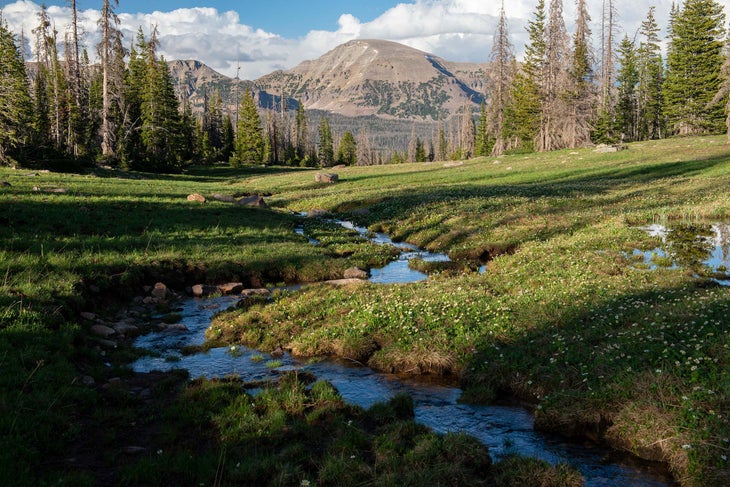 The High Uintas