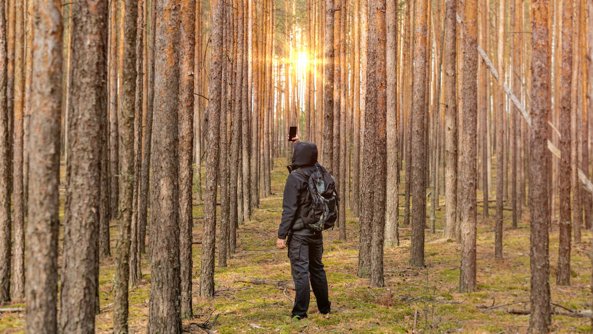 stranded hiker looks for cell service on phone