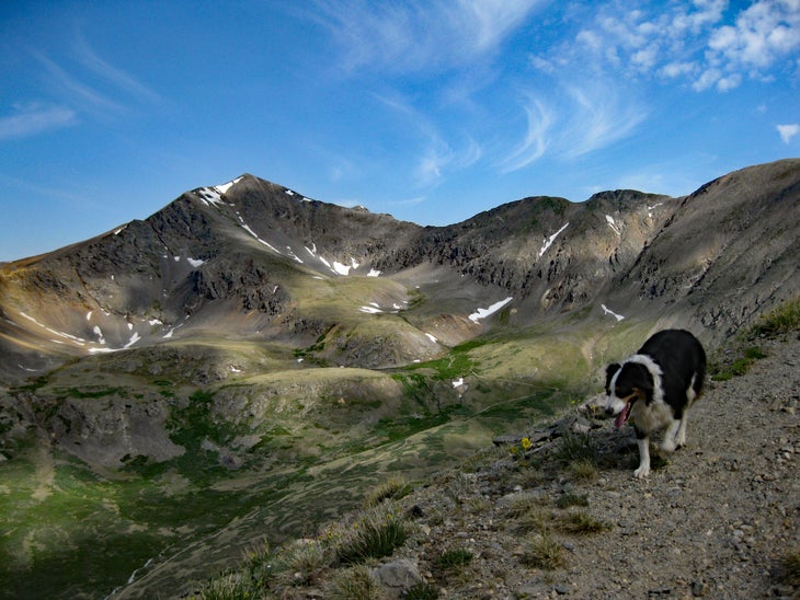 Torreys Peak: The Ultimate Hiking Guide - Backpacker