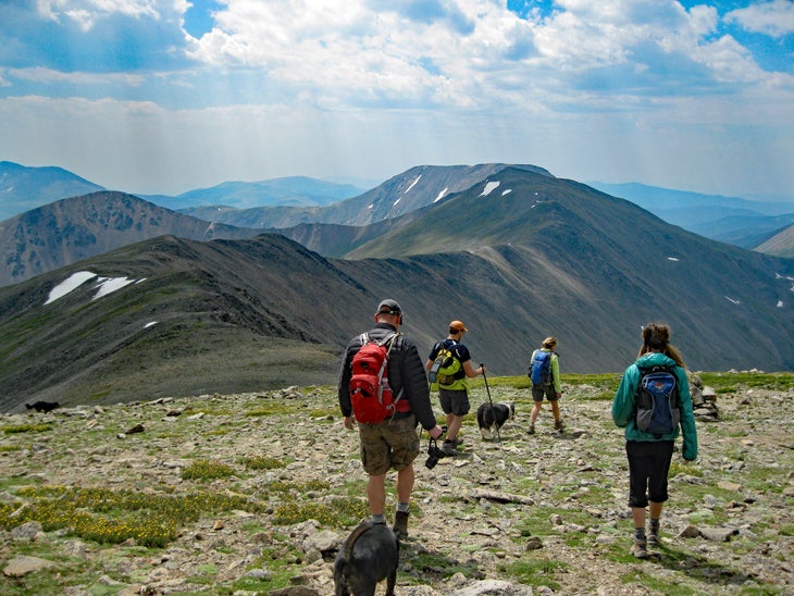 Torreys Peak: The Ultimate Hiking Guide - Backpacker