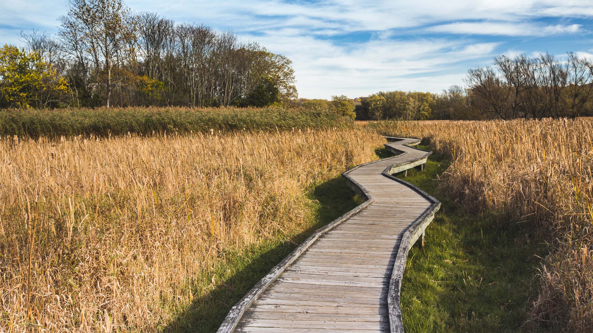 a walkway along the Appalachian trail