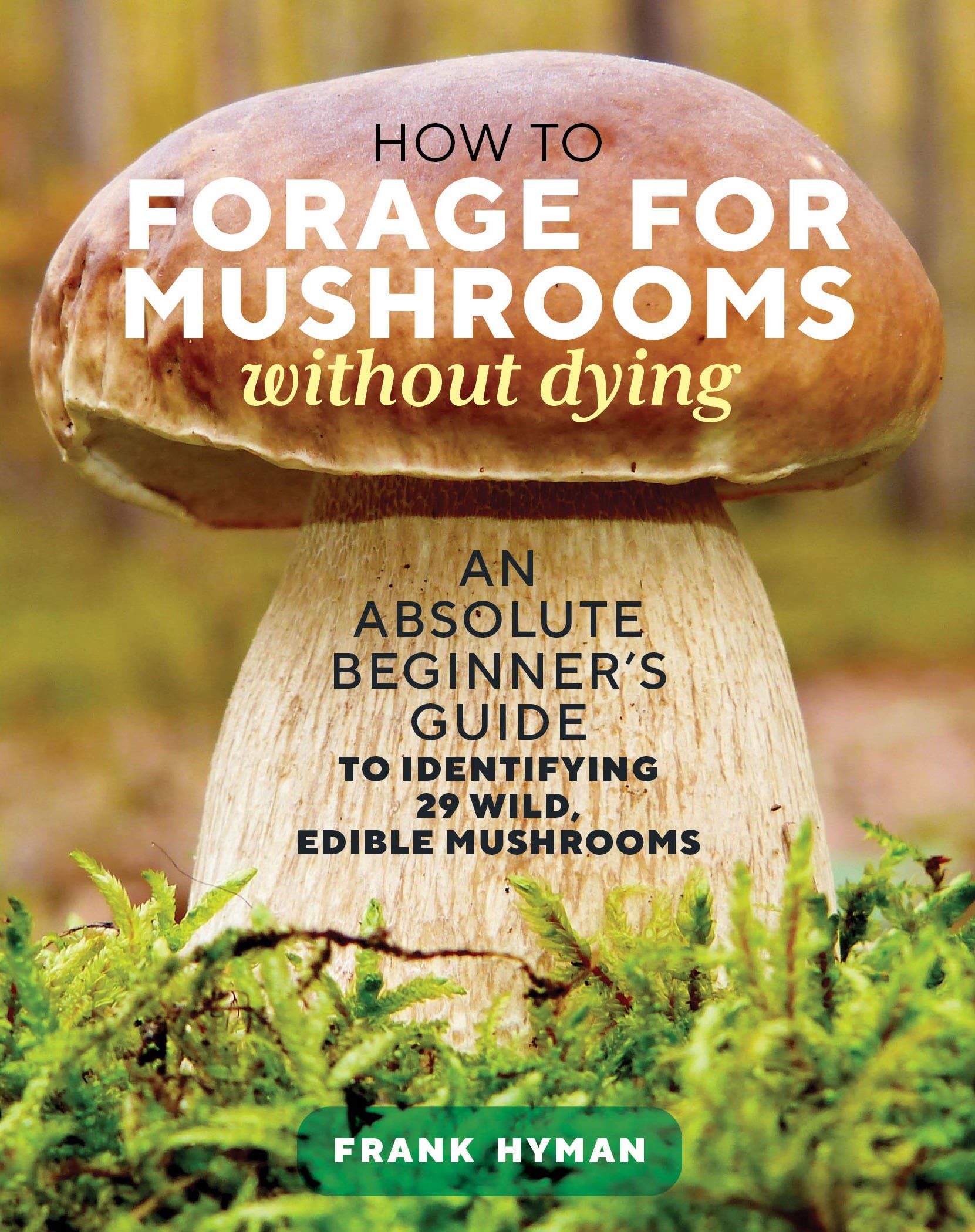 how to forage for mushrooms without dying