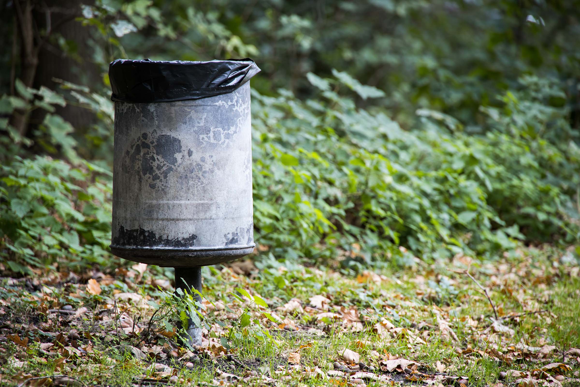national park trash can