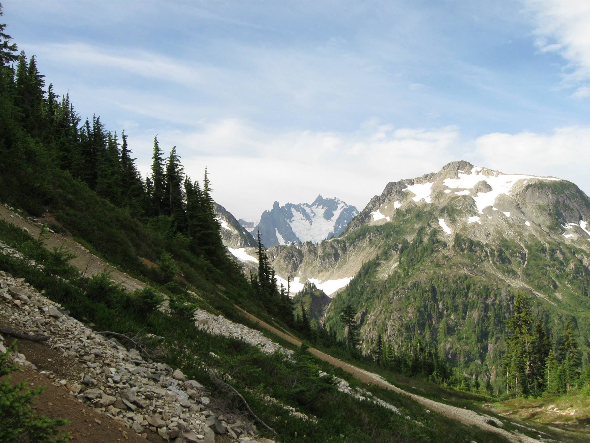 a hillside alternating scree and brush with snowy mountains in the background