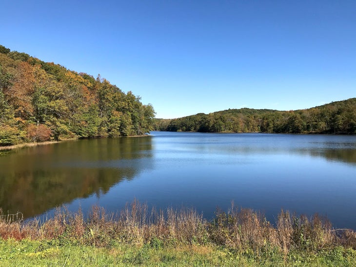 looking north up Yellowwood Lake