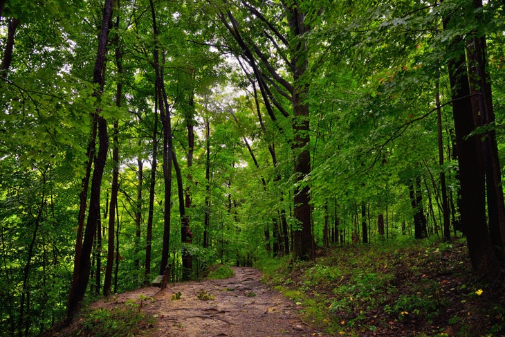 hiking trail through Ohio woods