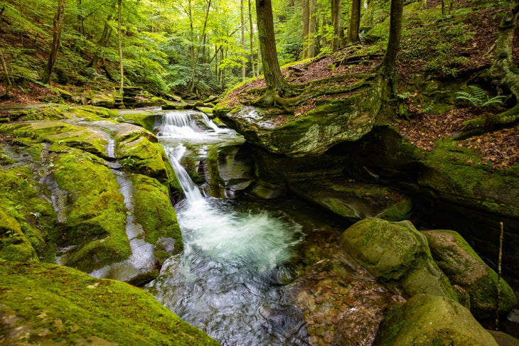 small waterfall down mossy rocks in deep forest