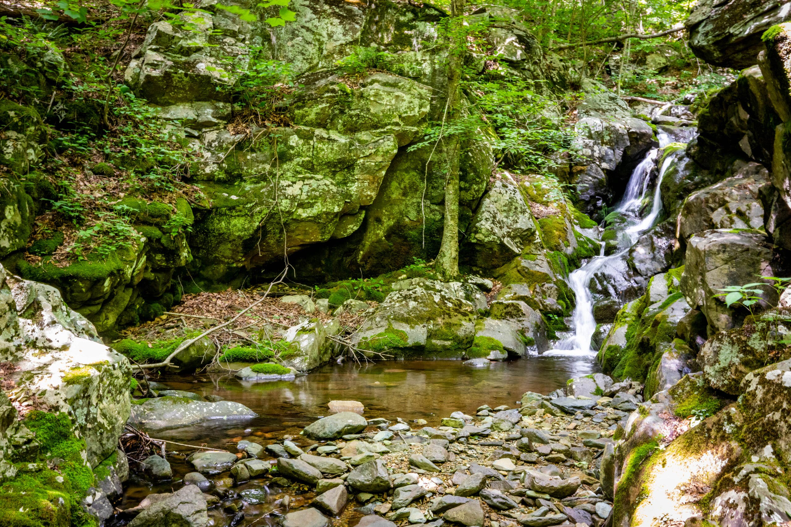a waterfall drops through mossy boulders to a pool surrounded by cliffs