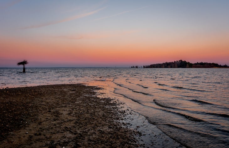 Lake Moultrie