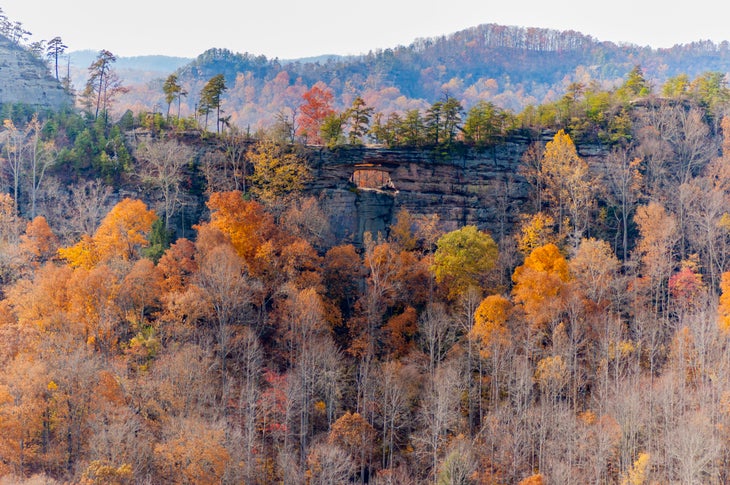 autumn foliage in Red River Gorge