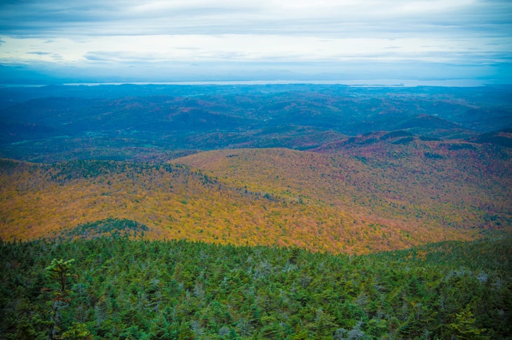 Multi colored trees seen over the Camel Hump Mountain