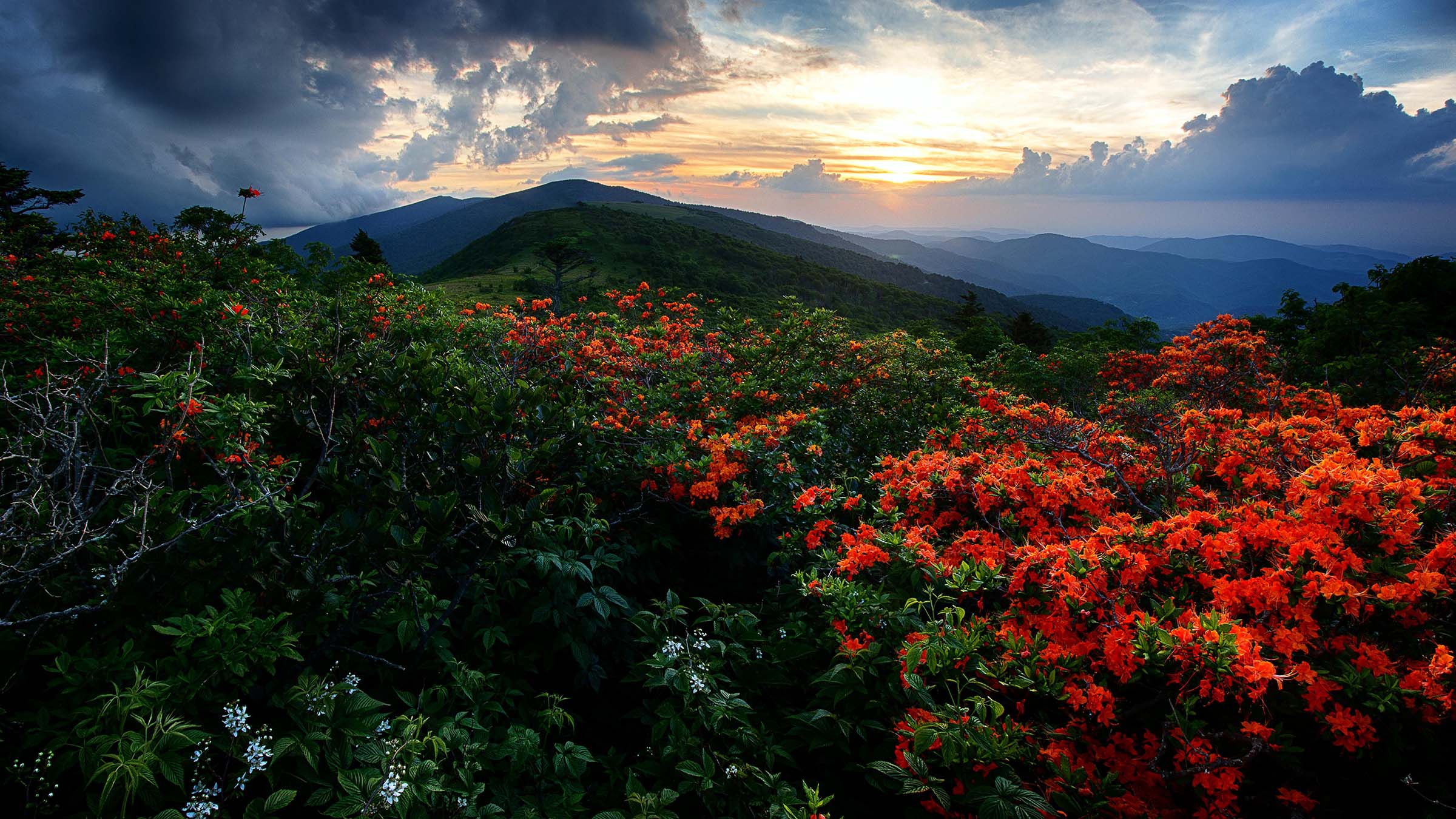 Ask a Thru-Hiker: Why You Need to Start Prepping for Your Spring Thru ...