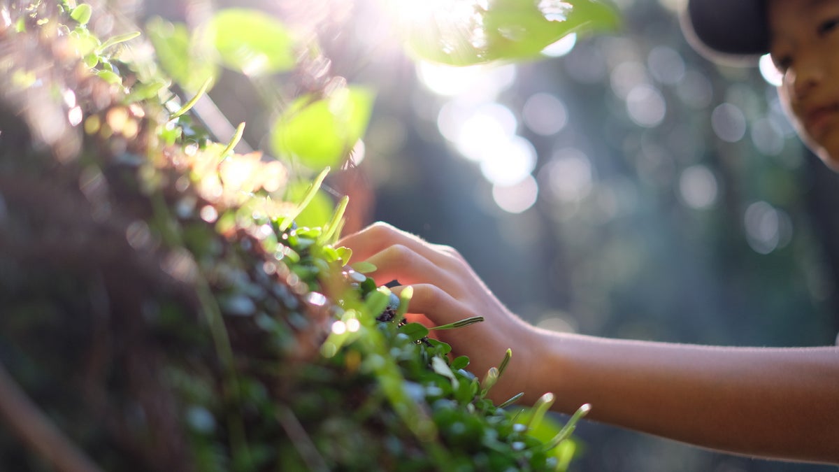 NextImg:Do Your Fingers Swell When You Hike? Here's Why—and How to Fix It.