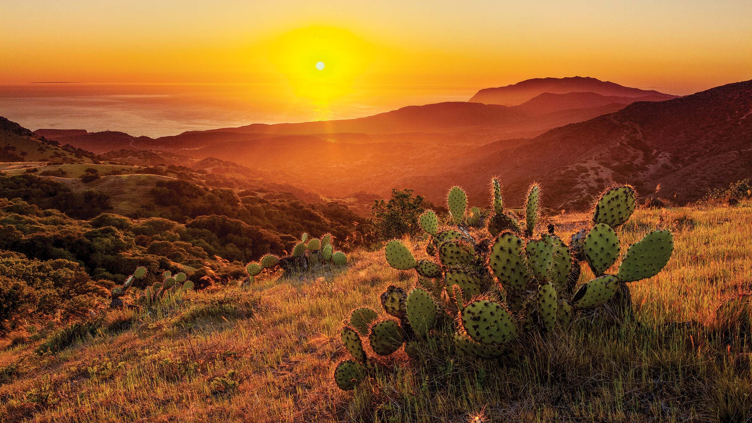 Trans-Catalina Trail Sunset