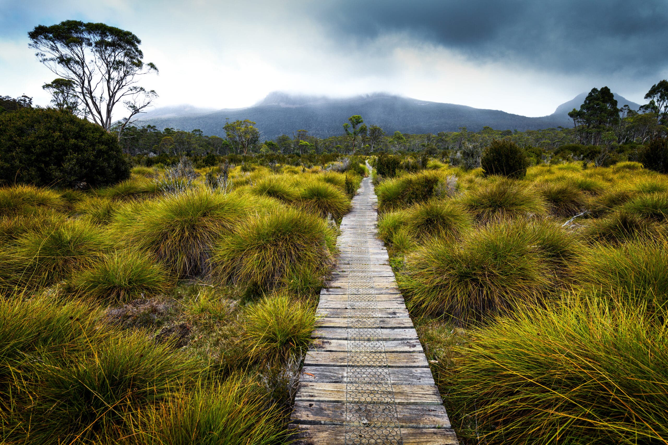 Overland Track in Cradle Mountain Lake St Clair National Park, Tasmania