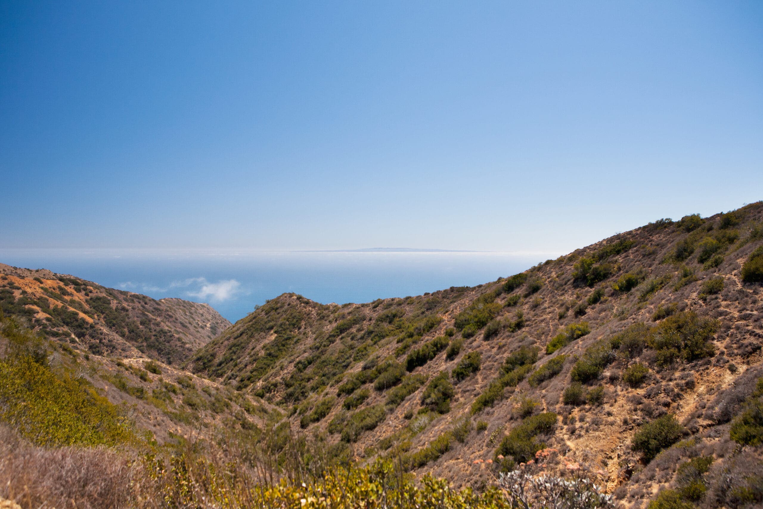 View from the crest of Catalina Island.