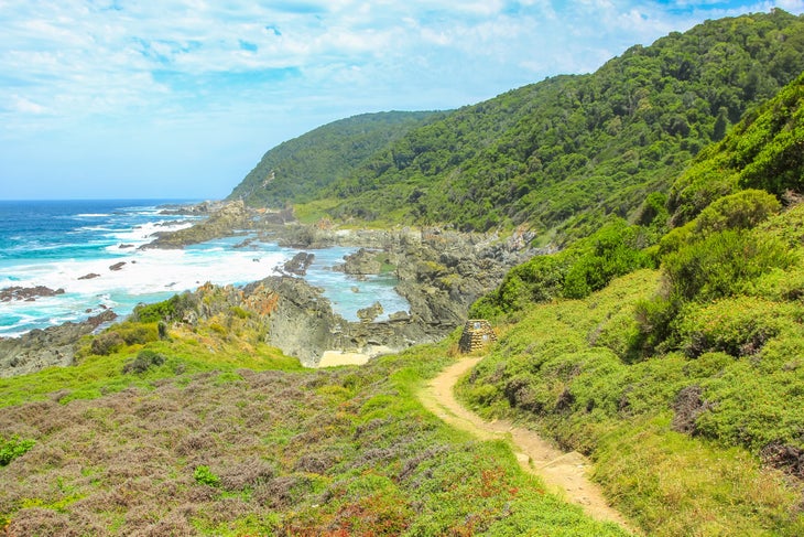 Otter trail Tsitsikamma